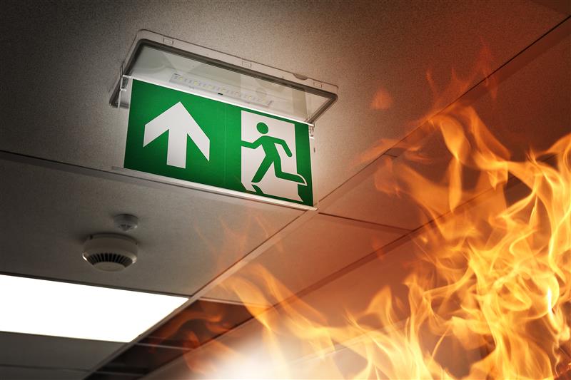 stwildfire